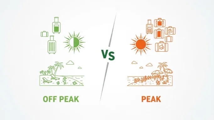 비성수기 경쟁률 비교 차트 그래프